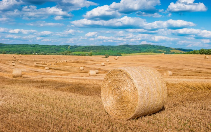 Történelmet írtak a magyar gazdák