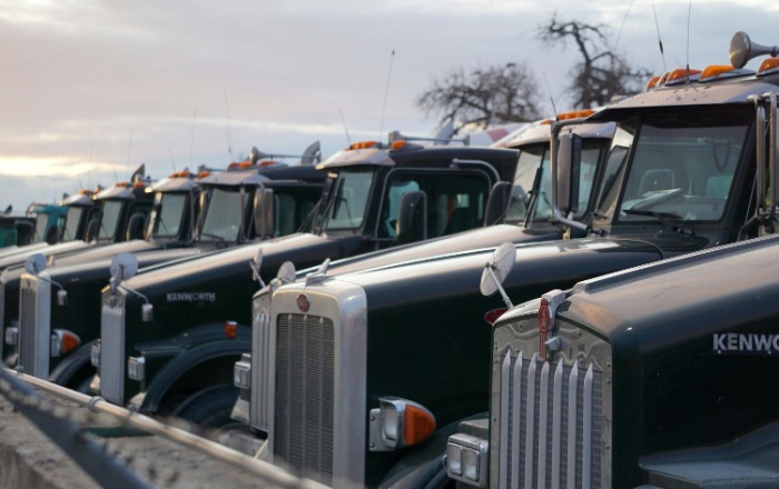 Megkongatták a vészharangot a magyar fuvarozók: nincs profit, fogynak a fuvarozócégek