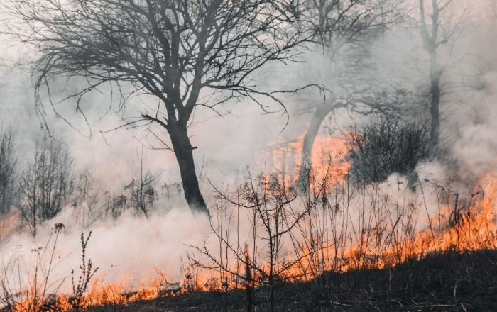 Mit is jelent a karbonsemlegesség? Hogyan valósítható meg 2050- re?